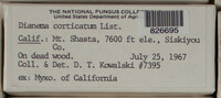 Image Associated With the Occurence